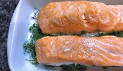 salmon with dill sauce