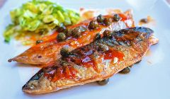 sticky mackerel