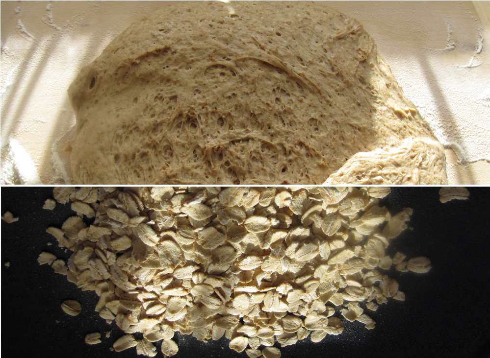 Dough and oats