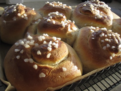 apricot buns