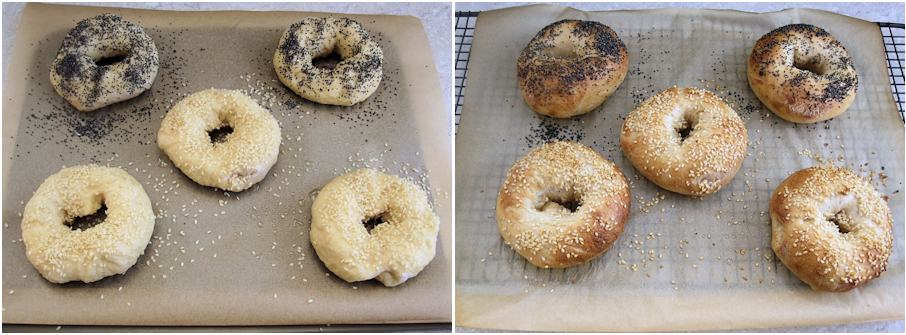 Poppy seed and sesame bagels