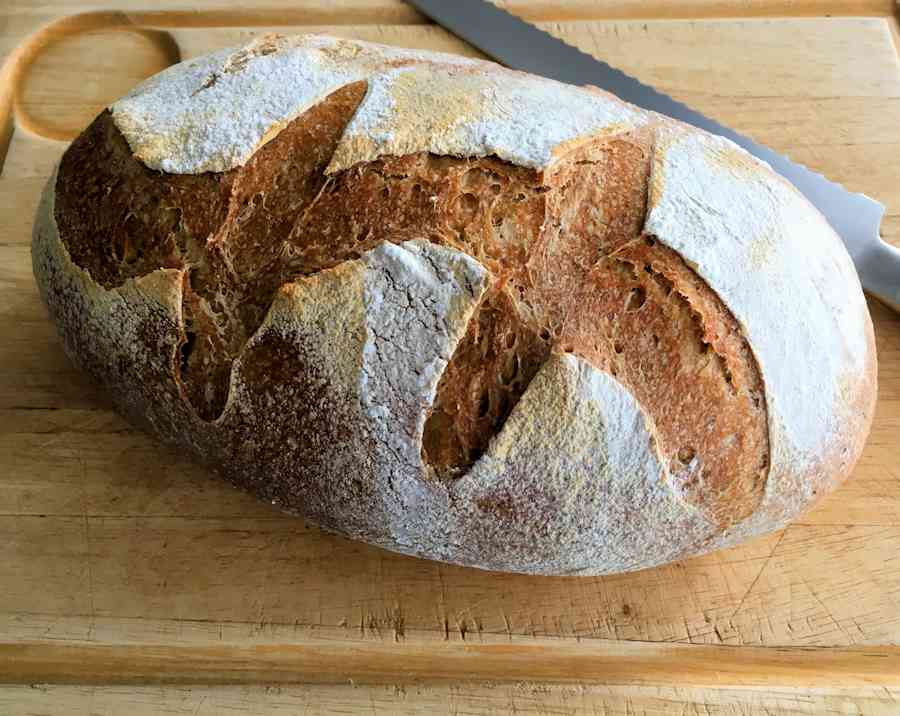 old dough sourdough cuisinefiend.com