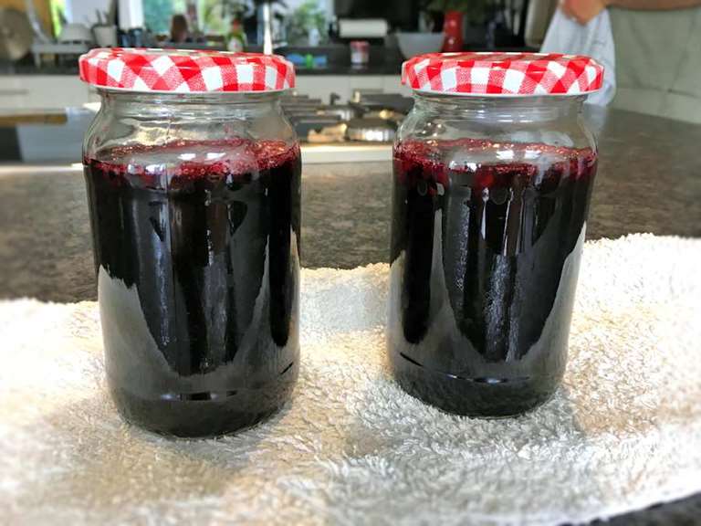 bramble jelly cuisinefiend.com