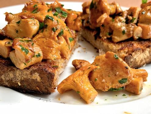 chanterelles on toast