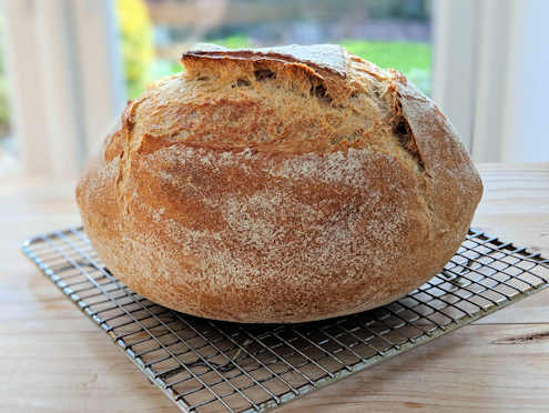 cheats sourdough