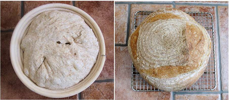 Sourdough-and-baked-loaf