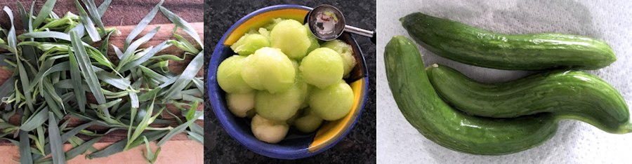 tarragon melon cucumber