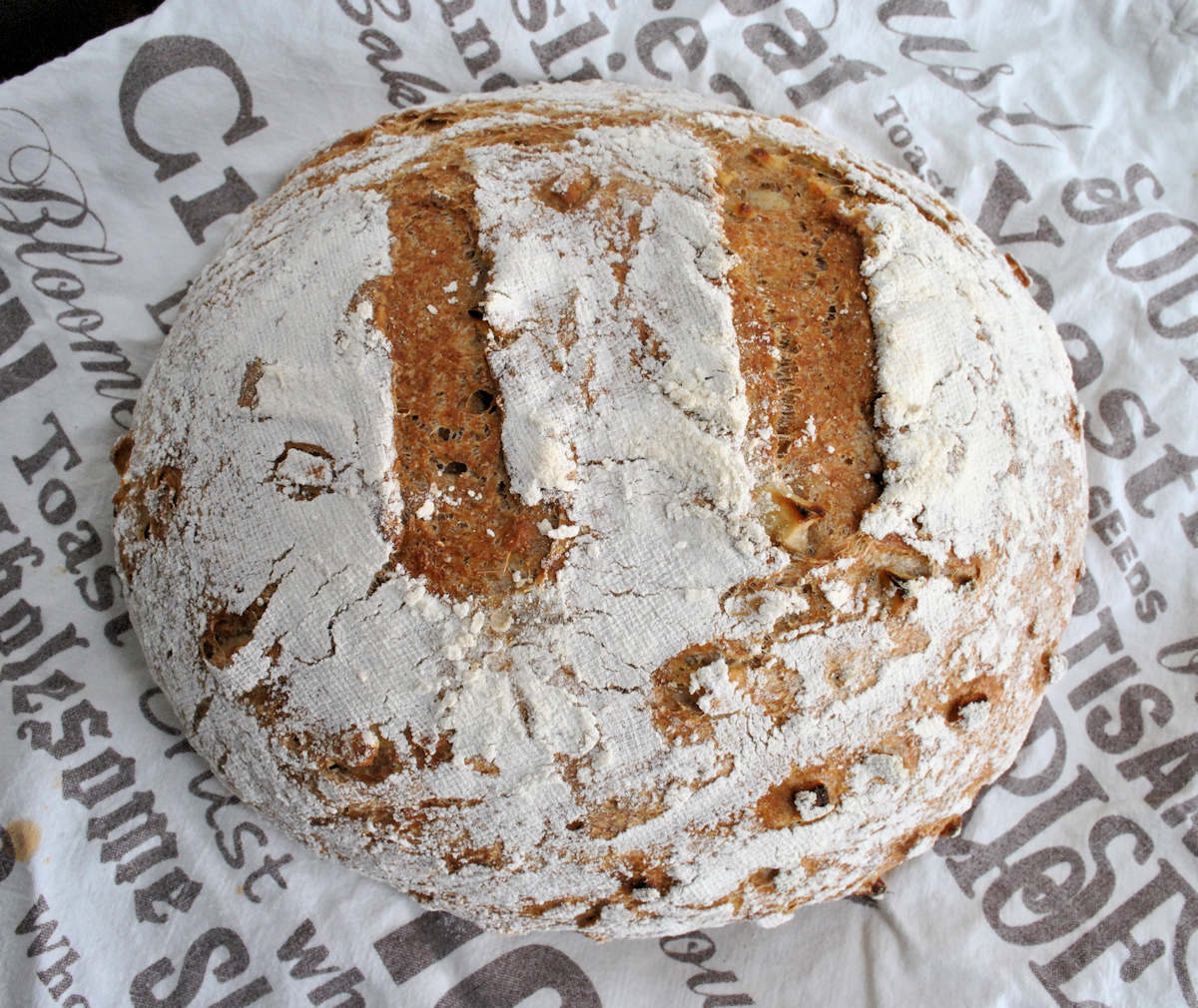 apple cider bread cuisinefiend.com