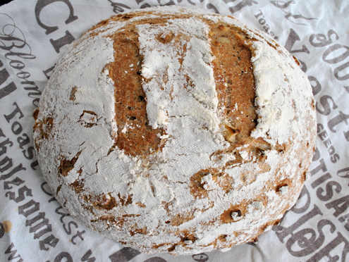 Cider and apple bread