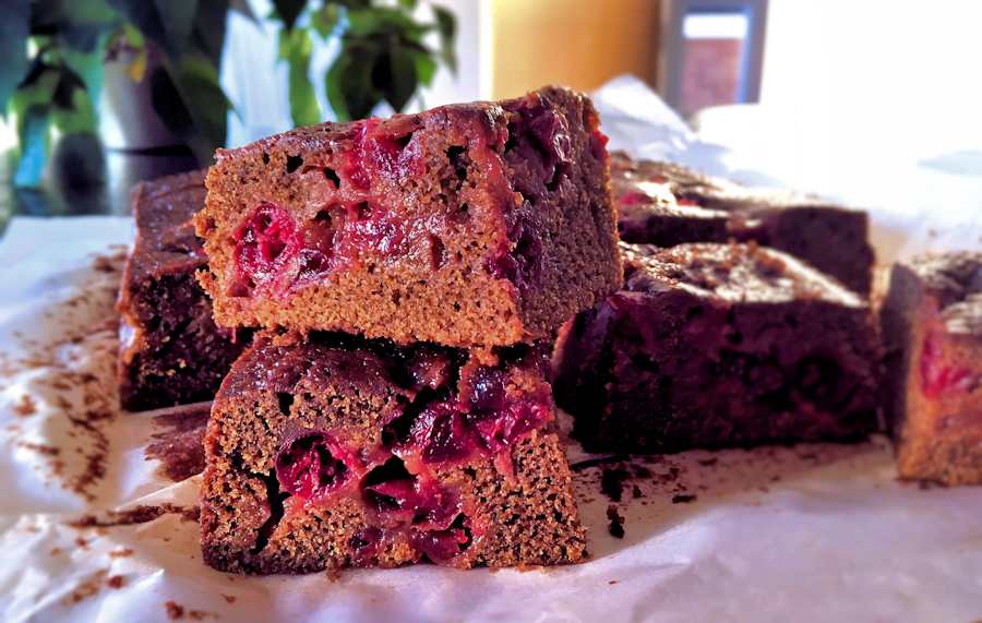 Sticky cranberry gingerbread