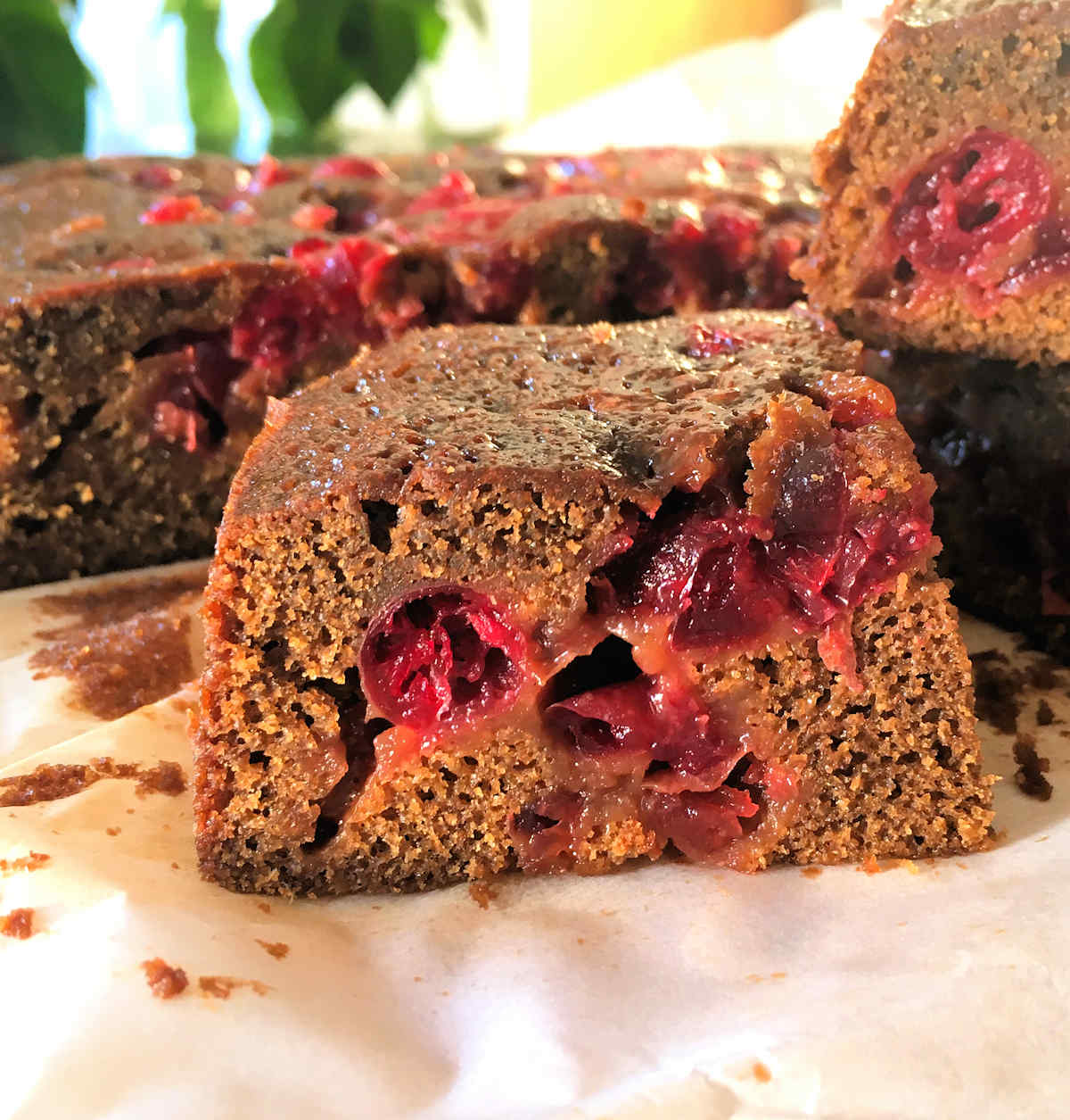 Cranberry gingerbread Christmas pudding with ginger sauce