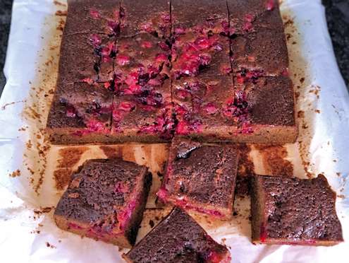 cranberry gingerbread cake