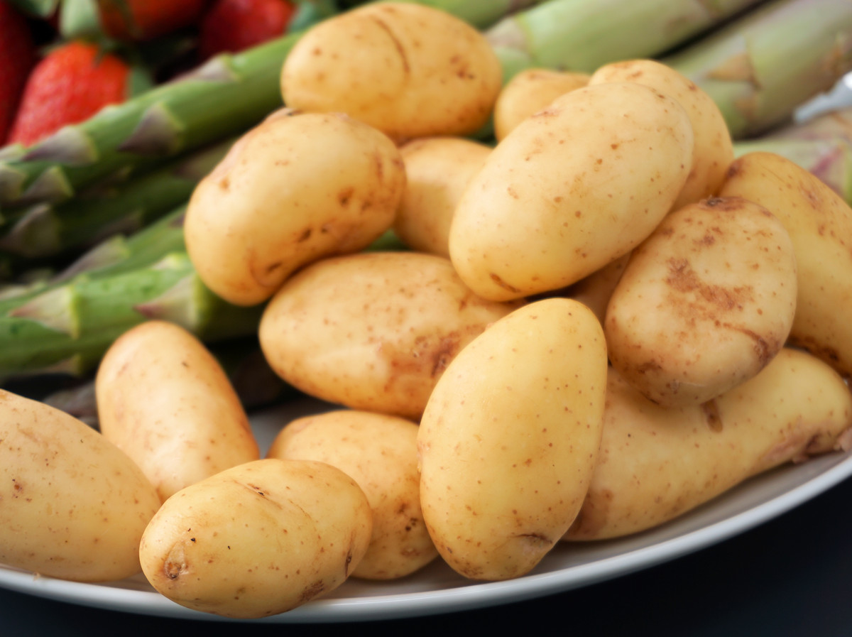 When is Jersey Royal Season?, Jersey Potato Season