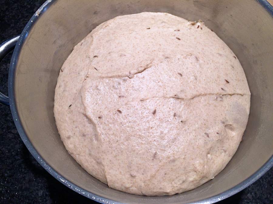 Risen rye dough