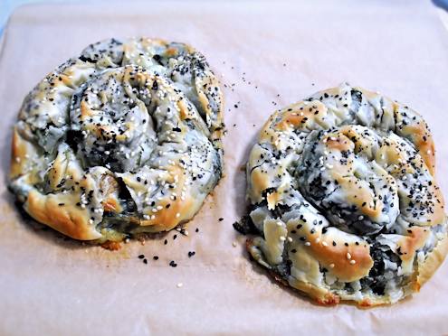 filo snails