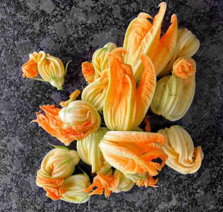 courgette flowers cuisinefiend.com