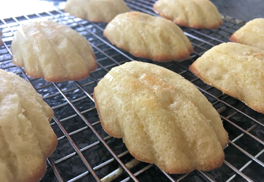 Madeleines