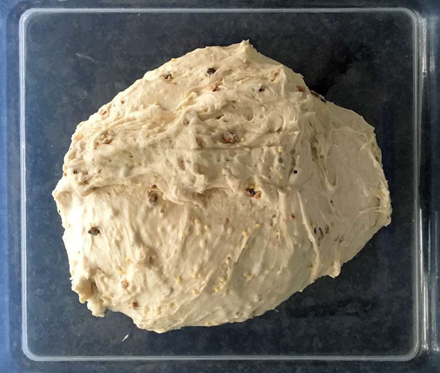 Malted bread dough
