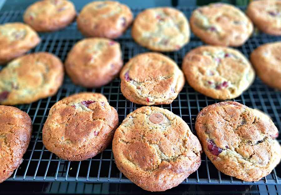 mokonuts rye cranberry and chocolate cookies cuisinefiend.com