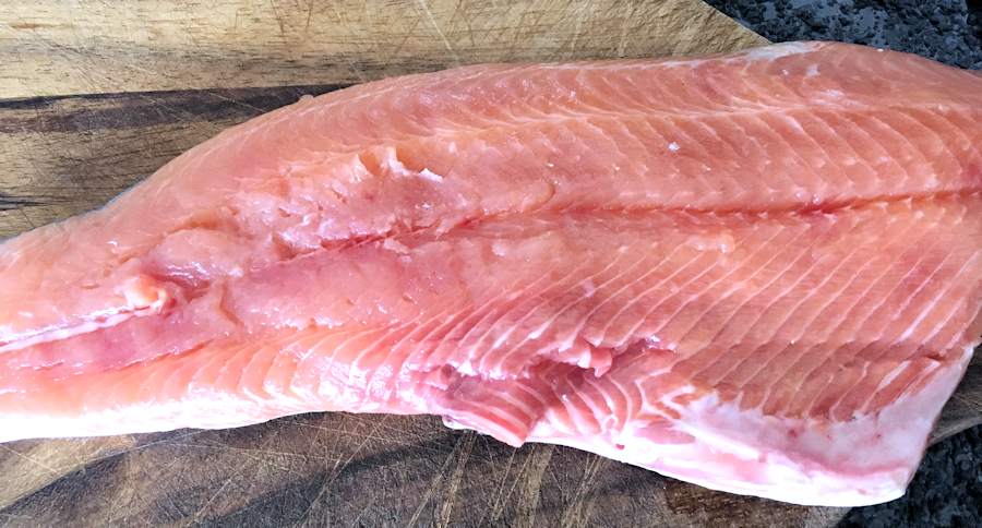 Sea trout