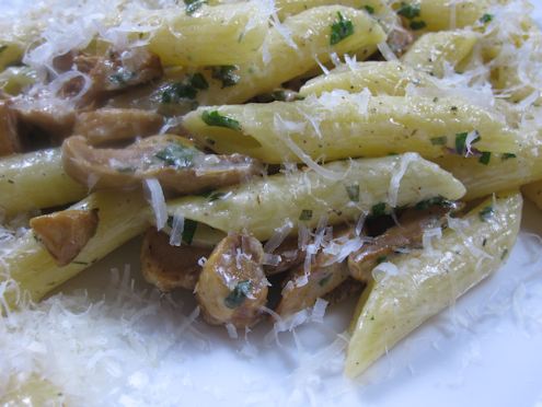 penne with wild mushrooms