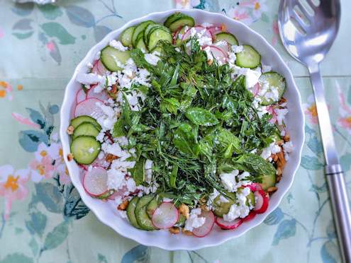 radish cucumber and herb salad