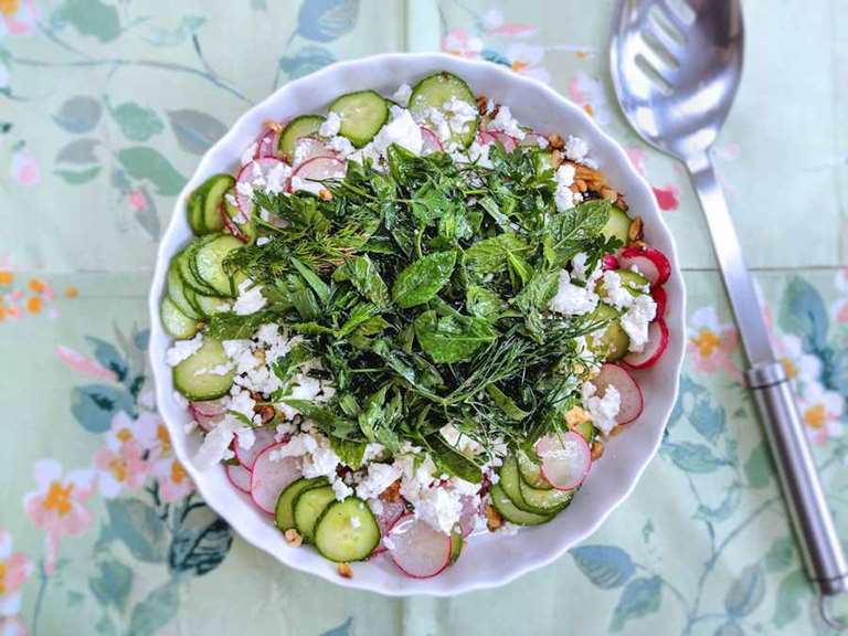 radish cucumber herb salad