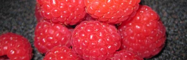 Raspberries