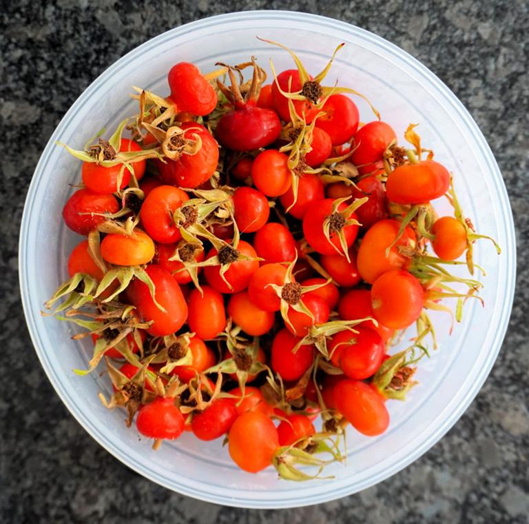 rose hips cuisinefiend.com