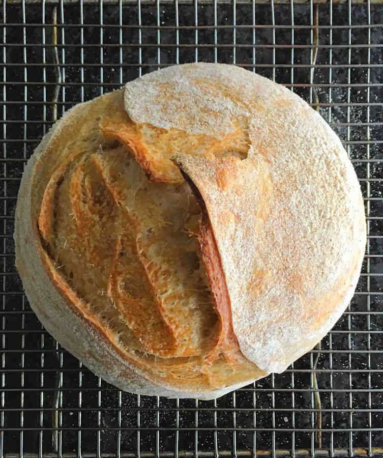 San Francisco Sourdough | Recipe | Cuisine Fiend