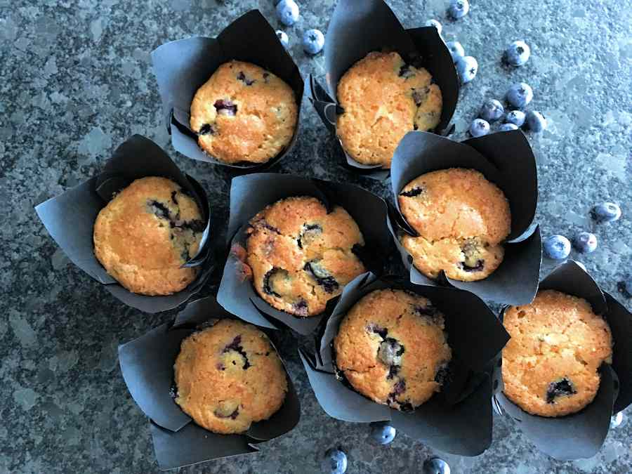 blueberry cupcakes