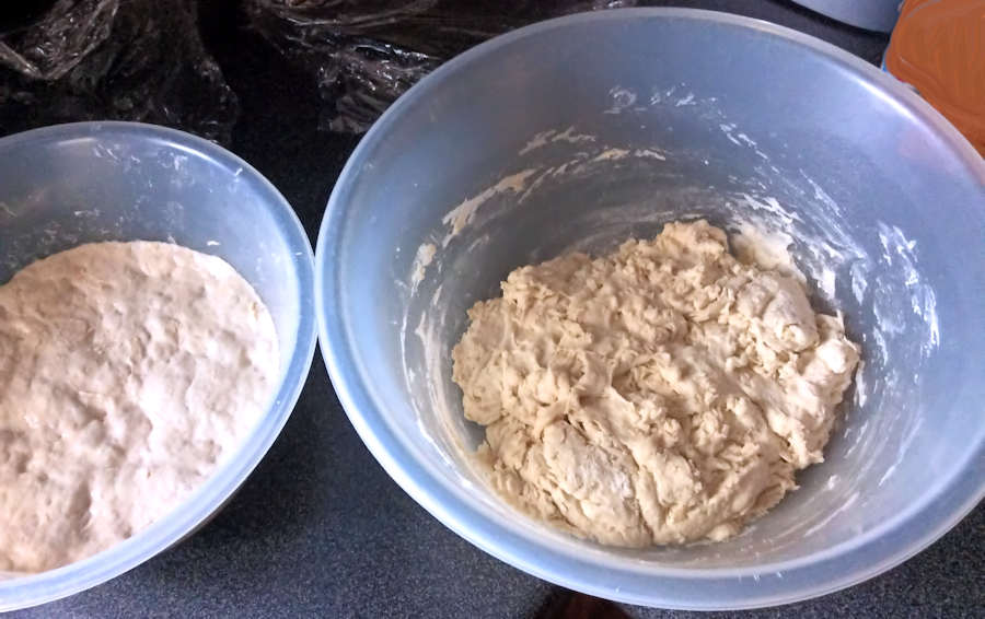 Sourdough starter and first dough