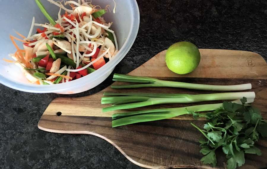 Scallions and veg for stir fry