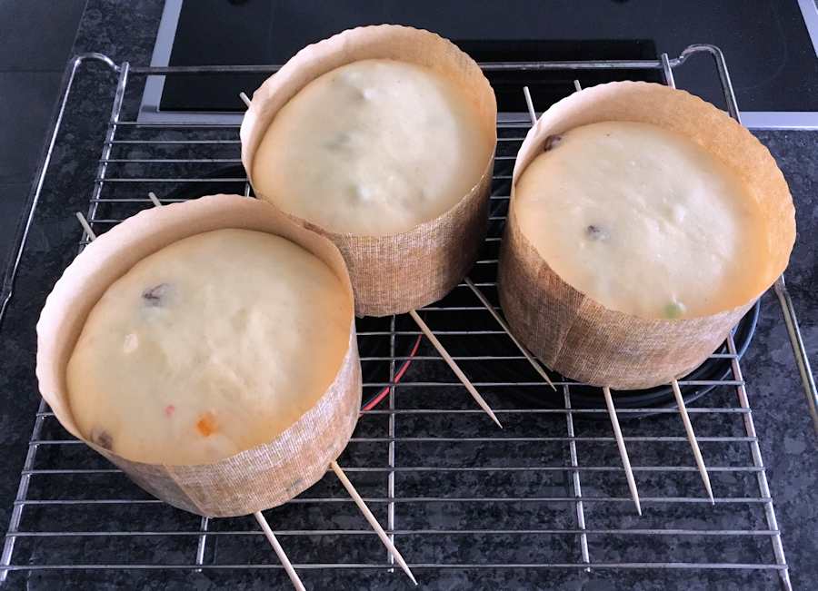risen panettone dough