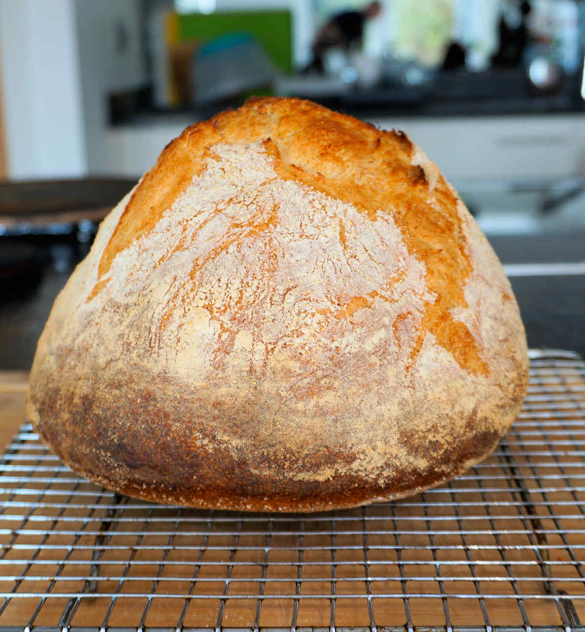 crusty white italian bread cuisinefiend.com