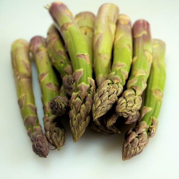 Recipe collection