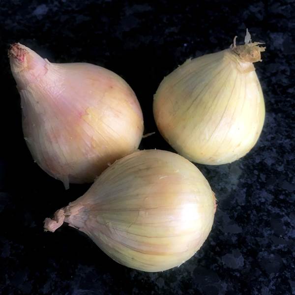 Recipe collection