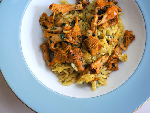 creamy orzo with chanterelles